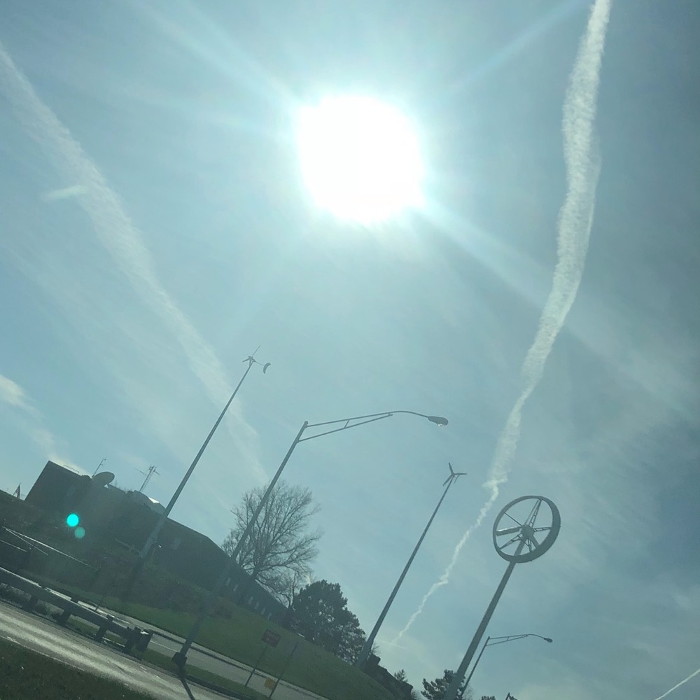 Meet your Posher, Isabella